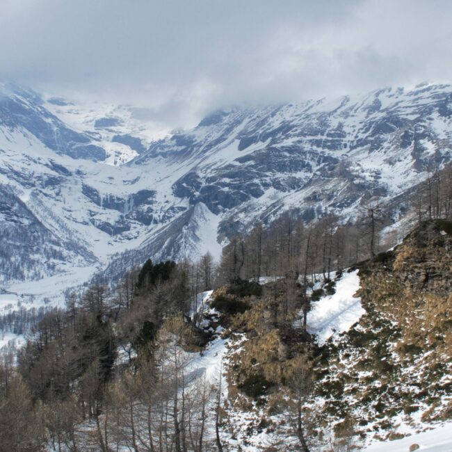 trenino rosso del bernina